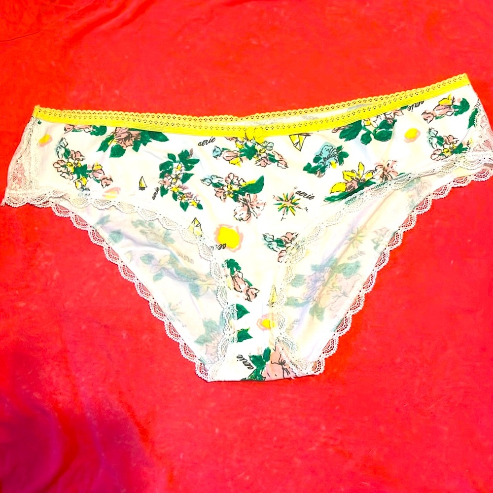 Aerie panties
